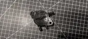 Briggs & Stratton Fuel Pump Vanguard Engines As Well as Many Others Case Ingerso
