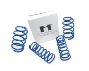 Manzo Performance Sport Lowering Springs Set Mini Cooper Base / S R50 R53 02-07 (for: Mini)