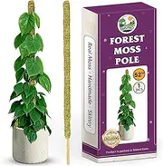 Duspro 52 Inches Large Moss Pole for Plants Monstera, Tall Indoor Plant Stake Support for Big Climbing Pothos Long Handmade Forest Moss Totem/Giant Trellis (Large Size)