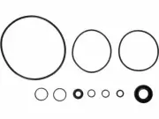 For 1974 Plymouth PB200 Van Power Steering Pump Seal Kit 69548FC 5.9L V8 Voyager