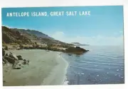 Antelope Island, Great Salt Lake, Utah, James S. Silver c1960's Unused Postcard