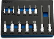 Capri Tools XZN Triple Square Bit Socket Set, 10-Piece (XZN Bit Set/Master)