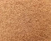 WALNUT SHELL ABRASIVE 16-19 LBS #30 GIT SANDBLASTING MEDIA SANDBLASTER SAND