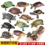 ✌限时熱銷✌兒童認知仿真兩棲爬行動物烏龜擺件中華草龜巴西龜真鱷龜模型玩具
