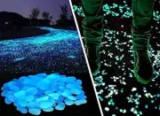 100 Pcs Glow in The Dark Stones, Garden Pebbles Rocks for Outdoor, Walkway, Aqua