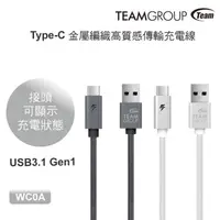 在飛比找蝦皮購物優惠-【94號鋪】TEAMGROUP 十銓  WC0A 100cm