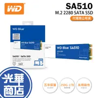 在飛比找蝦皮購物優惠-WD 藍標 SA510 250GB 500GB 1TB M.