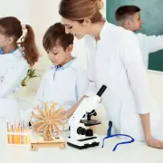 Scientific Experiment Toy Visual Persistence Misplacement Wonderful sincere
