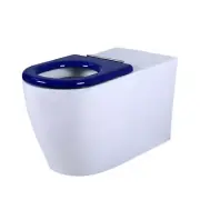 Rimless Wall Faced Floor Pan Aged Care Disabled Toilet concealed in wall cistern