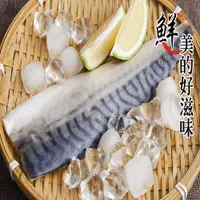 在飛比找蝦皮商城優惠-【海之醇】大規格挪威鯖魚200g