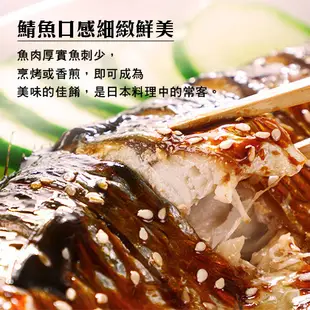 挪威鹽漬鯖魚片5片/組(140~180G/片)【愛買冷凍】