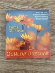 Getting Unstuck - Breaking Your Habitual Patterns & Encountering Naked Reality