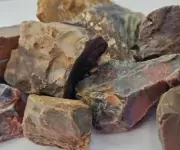 Australian Jasper Rock Tumbling Rough Mineral Specimen 500g