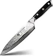 Premium 8 Inch Damascus Chef Knife, Japanese VG10 Super Steel 67 Layer High Carbon Stainless Steel Kitchen Knife with Full Tang Handle