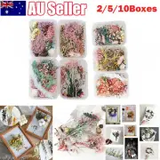 2-10Boxes Dried Flowers Art Craft Epoxy Resin Candle DIY Gift Wedding Decoration