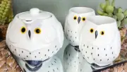 Whimsical White Fat Snow Owl Ceramic 16oz Tea Pot With 2 Cups Set Owls Decor