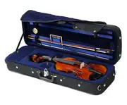 Raggetti RV7AE Setup Violin Package-4/4