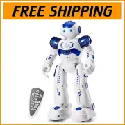 LED Light-Up RC Robot with Gesture & Remote Functions - Ideal Kids Playmate