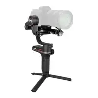 在飛比找ETMall東森購物網優惠-ZHIYUN 智雲 Weebill-S Lab 穩定器 (公