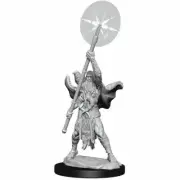 Alrund god Wisdom MTG D&D miniature Dungeons Dragons unpainted druid wizard mage
