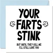 Funny Birthday Card for Him - Your Farts Stink - Valentine's Day Card for Boyfriend Partner Fiance, 145mm x 145mm Greeting Cards, Birthday Anniversary Valentines Card Husband from Wife Girlfriend