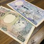 －PU－[現貨-紀念品] FURBABYXぽん吉插畫家 限定款 擬真 紙幣 毛巾 柴犬  貓咪 豆柴 小貓