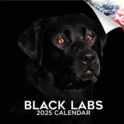 BLACK LABRADOR RETRIEVER Wall Calendar 2025 DOG PET Animal Lover Gift