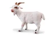 CollectA - Billy Goat Medium Figurine