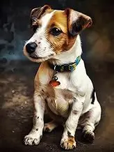 Generic Diamond Art Painting Dog Jack Russell Terrier Puppy Animal (4) Kit for Adults Diamond Art Painting by Number Kits Gem Art Wall Home Decor(Canvas 11.8 x15.8inch)