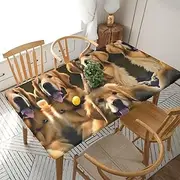 5 Foot Rectangle Elastic Fitted Tablecloth, Waterproof Edged Great for Picnic Party Outdoor Patio,Golden Retrievers