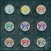 Set of Nine Martial Arts Belt Pins