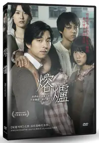 在飛比找PChome24h購物優惠-熔爐 DVD