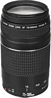 Canon EF 75-300 f/4-5.6 III