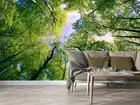 3D Lookup Forest Wallpaper Wall Mural Removable Self-adhesive 22