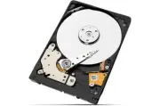 HUS153014VLS300 Hitachi 0B22178 147GB 15K RPM 3Gbps 3.5" SAS HDD Hard Drive