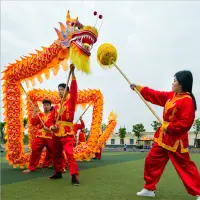 在飛比找蝦皮商城精選優惠-龍燈舞龍龍獅醒獅南龍舞龍舞獅道具燙金龍龍燈服裝綢緞新款龍燈美