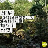 在飛比找蝦皮購物優惠-【COE咖啡豆】印尼 2021卓越盃第九名 鄧哈利姆農園 鐵