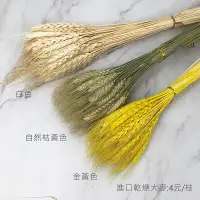 在飛比找松果購物優惠-進口乾燥天然大麥進口花材線條感-乾燥花圈 乾燥花束 不凋花 