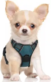 Dog Harness No Pull Pet Harness Teal S