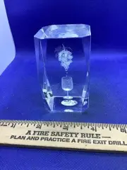 Vintage LUCITE Acrylic Modern Wine/grapes Desk Art Paper Weight S6