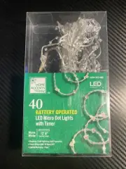 Home Accents 30 LED Micro Dot String Light Warm White Battery Timer