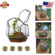 Uniquely Shaped Close Geometric Glass Terrarium with Door for Indoor Plants