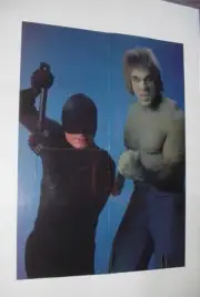 Hulk Poster #64 Lou Ferrigno Trial of Incredible Hulk TV Movie Daredevil Classic