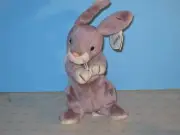 Beanie Babies Springy the Rabbit New with Tag