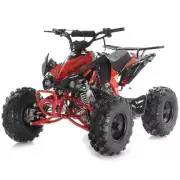 Blazer 9 125cc ATV with Auto Transmission w/Reverse & Electric Start