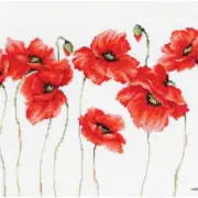 BlossomCrafts Floral Tapestry Set - Eleven Poppies Counted Cross Stitch Kit: Vib