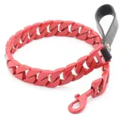 THE WORLD IS YOURS DOG LEASH