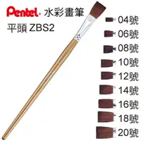 在飛比找蝦皮購物優惠-Pentel 飛龍 ZBS2-04T 水彩筆 (4號平頭)