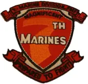 USMC MAGNIFICENT 7TH SEVENTH MARINES REGIMENT PATCH 29 PALMS TASK FORCE RIPPER