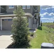 Luxury Retreat Backing To A Park With Spray Park